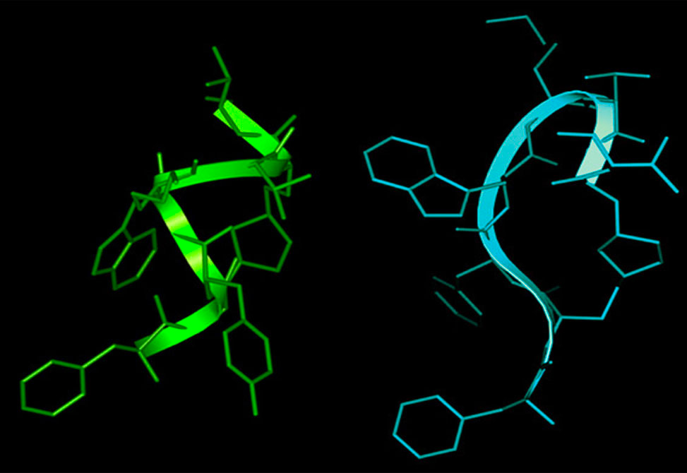 Octreotide Analogs
