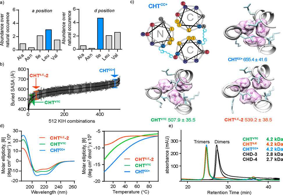 Short Peptides