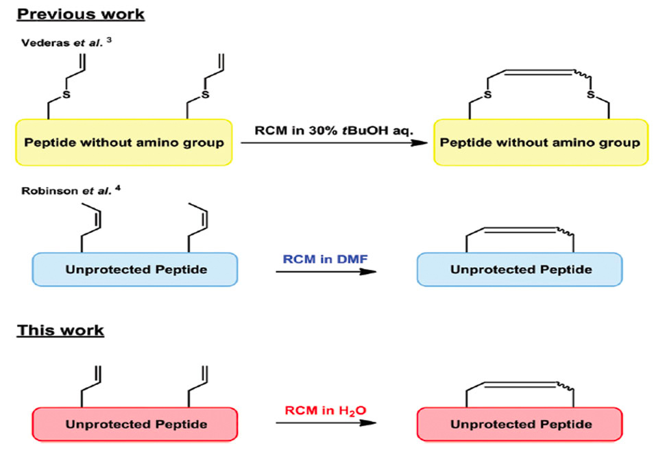 Unprotected Peptides