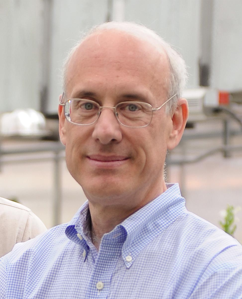 David Lawrence
