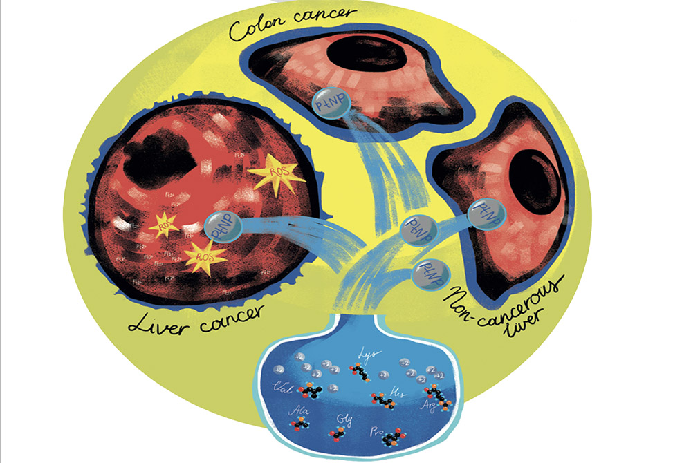 Platinum Nanoparticles