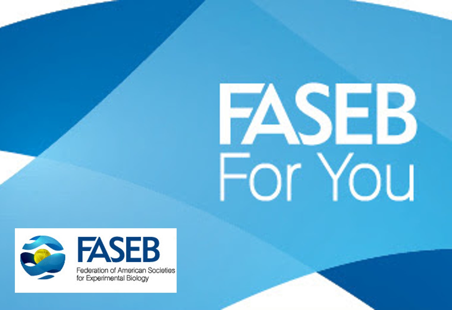 Recent FASEB Updates