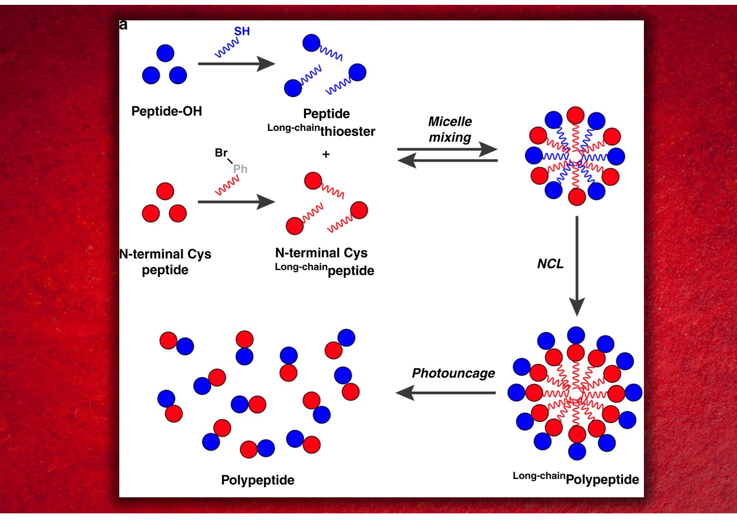 Micelle-assisted Reactions