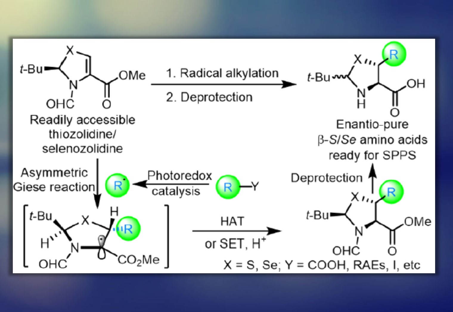 Modified Amino Acids