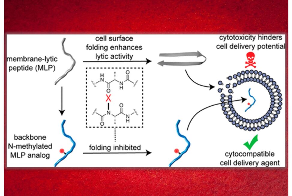 Membrane-Lytic Peptides