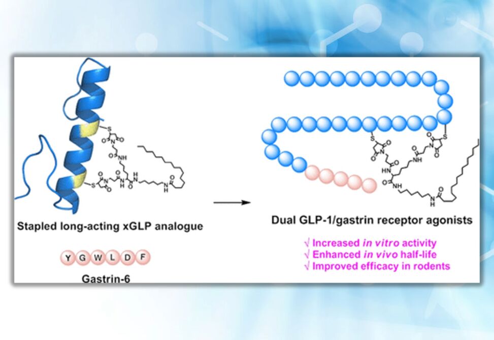 Stapled Peptides