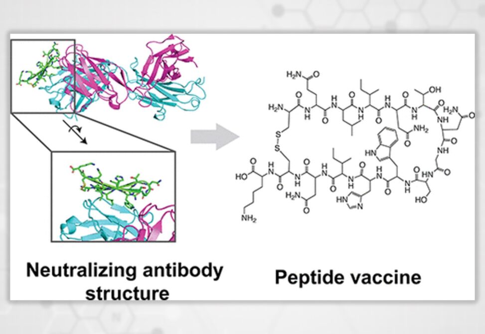 Peptide-Based Vaccines