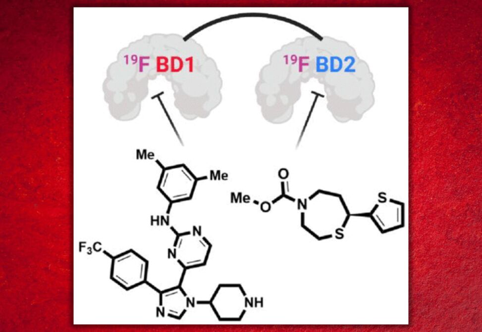 Protein-Protein Interactions