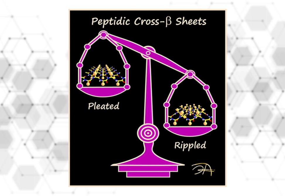 Rippled β-Sheet Motif