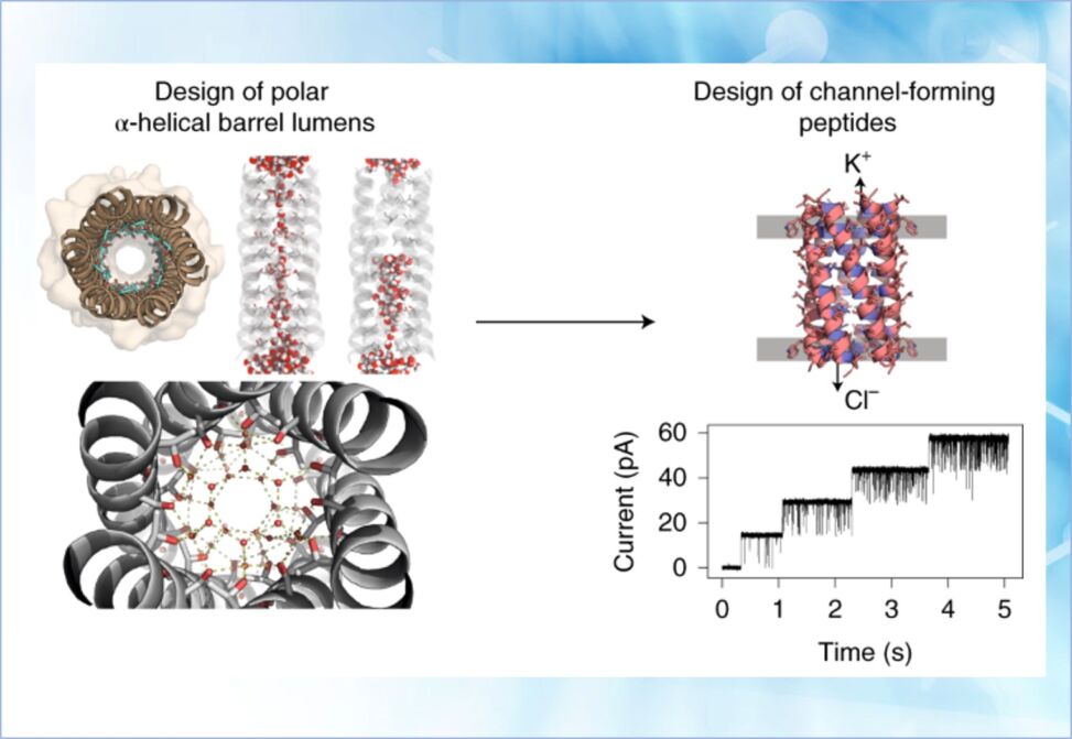 Ion Channels