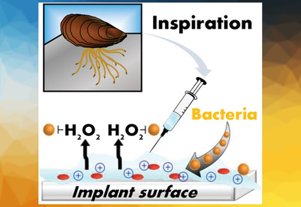 Antibacterial Hydrogels